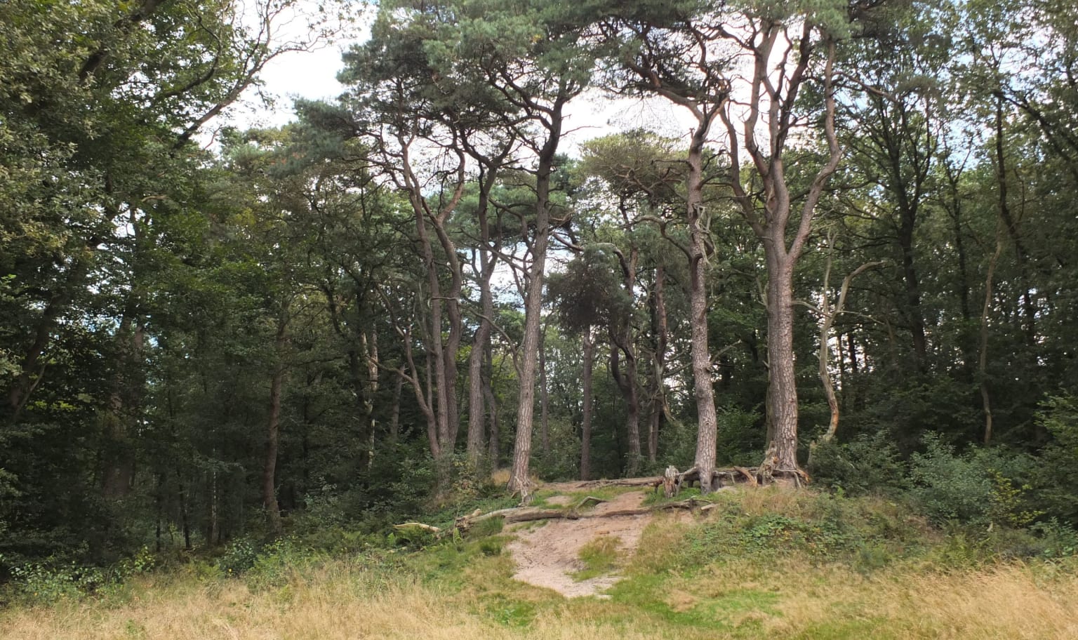Natuurmonumenten Albert Kerssies NMRG20125 0