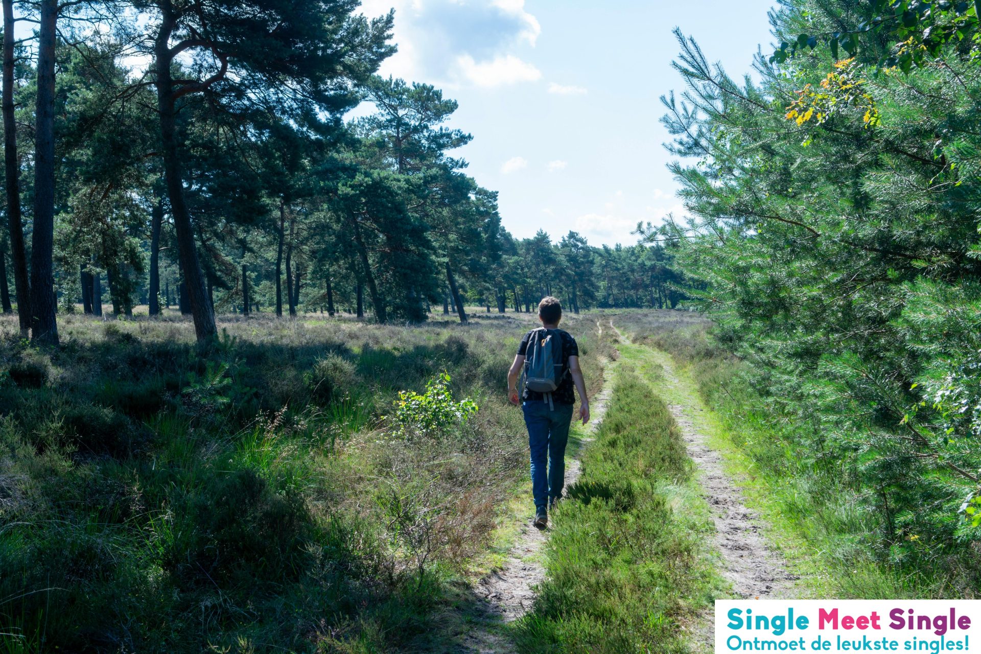 Wandeling Veluwe Hoog Buurlo (4,5KM)